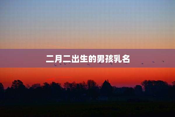 二月二出生的男孩乳名