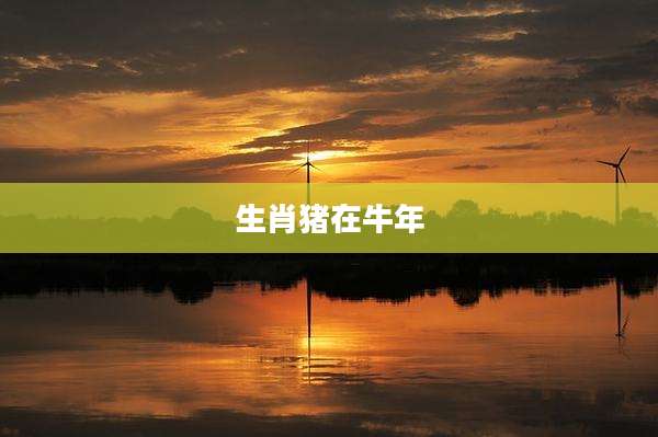 生肖猪在牛年