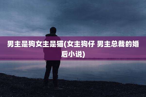 男主是狗女主是猫(女主狗仔 男主总裁的婚后小说)