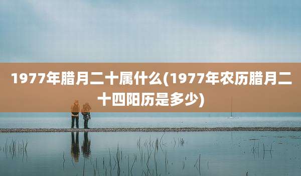 1977年腊月二十属什么(1977年农历腊月二十四阳历是多少)