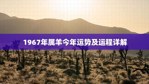 1967年属羊今年运势及运程详解