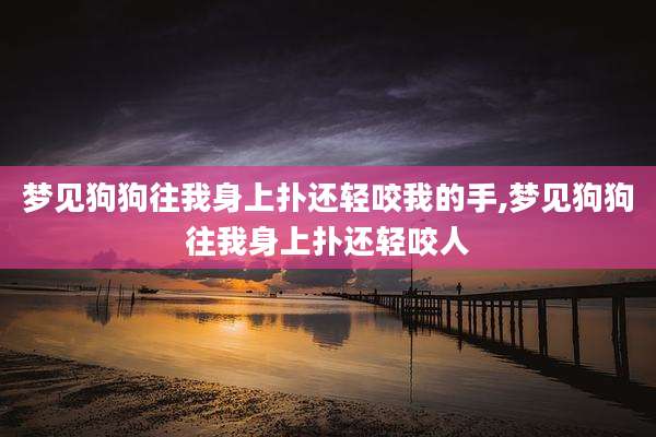 梦见狗狗往我身上扑还轻咬我的手,梦见狗狗往我身上扑还轻咬人