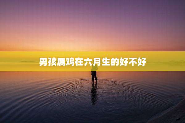 男孩属鸡在六月生的好不好