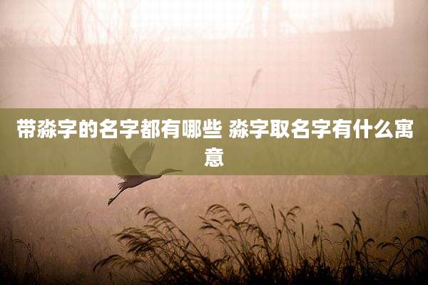 带淼字的名字都有哪些 淼字取名字有什么寓意