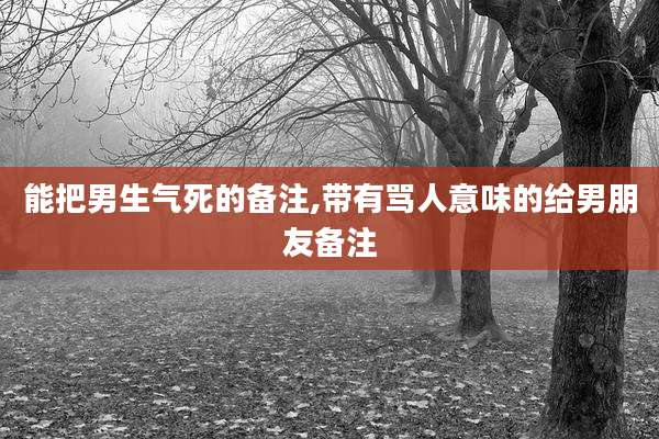 能把男生气死的备注,带有骂人意味的给男朋友备注