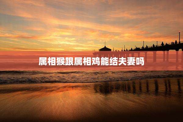 属相猴跟属相鸡能结夫妻吗