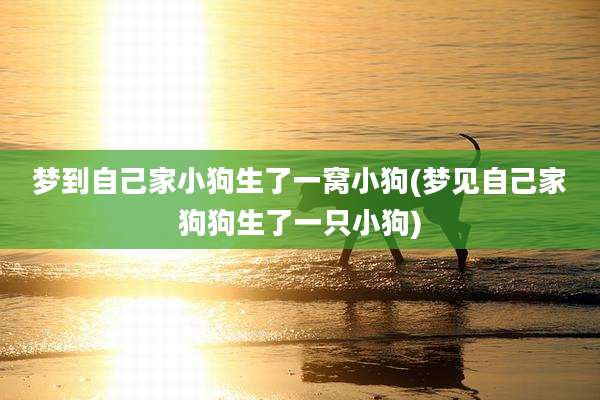 梦到自己家小狗生了一窝小狗(梦见自己家狗狗生了一只小狗)