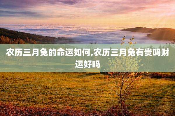 农历三月兔的命运如何,农历三月兔有贵吗财运好吗