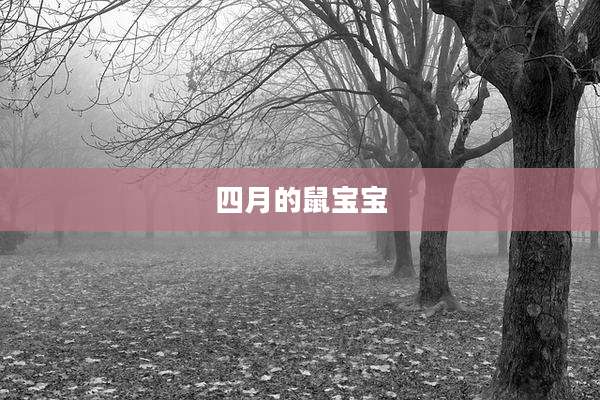 四月的鼠宝宝