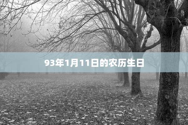 93年1月11日的农历生日