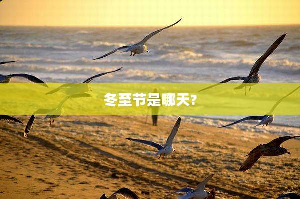 冬至节是哪天?