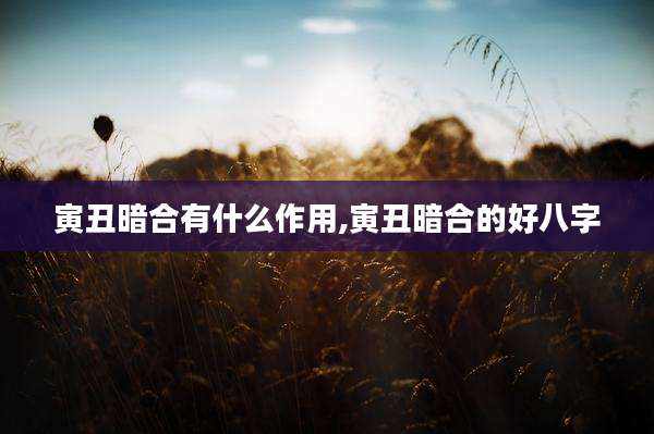 寅丑暗合有什么作用,寅丑暗合的好八字