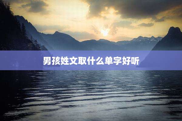男孩姓文取什么单字好听