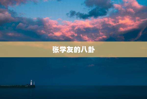 张学友的八卦
