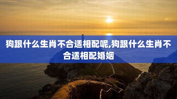 狗跟什么生肖不合适相配呢,狗跟什么生肖不合适相配婚姻