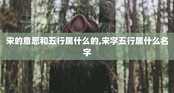 宋的意思和五行属什么的,宋字五行属什么名字