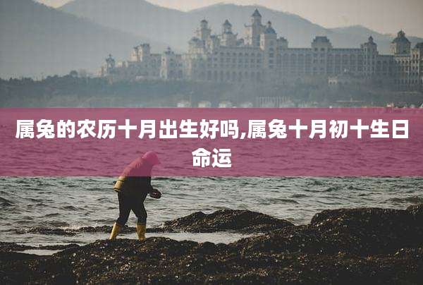 属兔的农历十月出生好吗,属兔十月初十生日命运