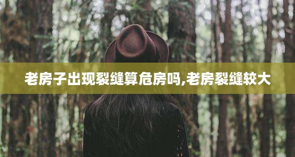 老房子出现裂缝算危房吗,老房裂缝较大
