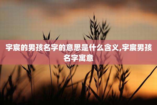 宇宸的男孩名字的意思是什么含义,宇宸男孩名字寓意