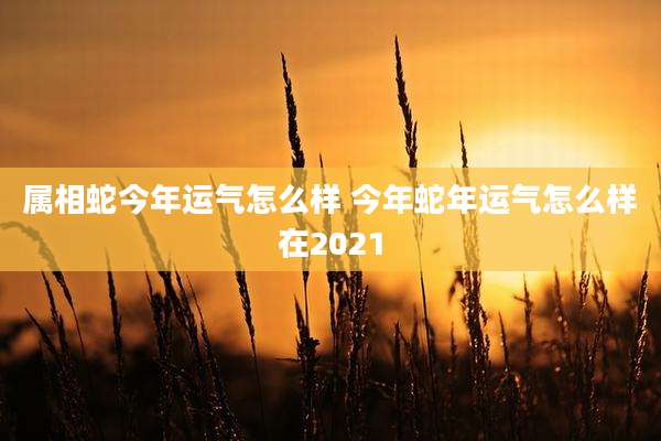 属相蛇今年运气怎么样 今年蛇年运气怎么样在2021