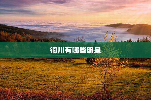 铜川有哪些明星
