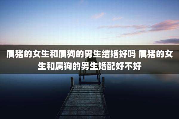 属猪的女生和属狗的男生结婚好吗 属猪的女生和属狗的男生婚配好不好