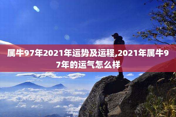 属牛97年2021年运势及运程,2021年属牛97年的运气怎么样