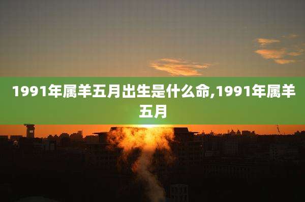 1991年属羊五月出生是什么命,1991年属羊五月