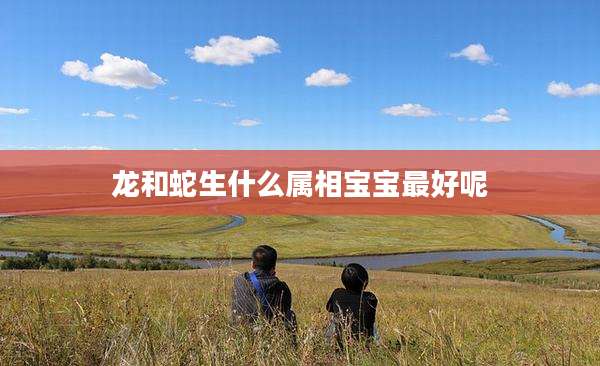 龙和蛇生什么属相宝宝最好呢