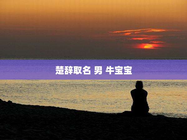 楚辞取名 男 牛宝宝