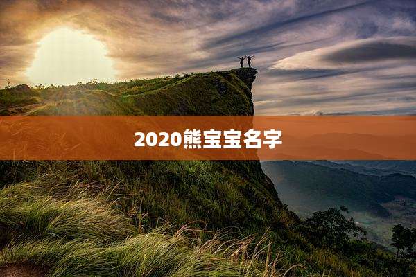 2020熊宝宝名字