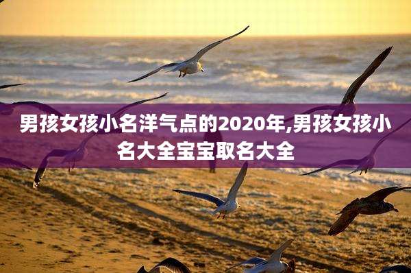 男孩女孩小名洋气点的2020年,男孩女孩小名大全宝宝取名大全