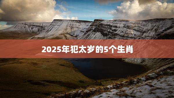 2025年犯太岁的5个生肖