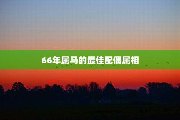 66年属马的最佳配偶属相