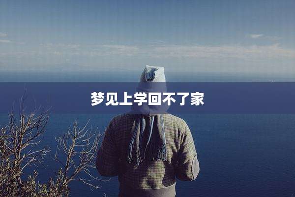梦见上学回不了家
