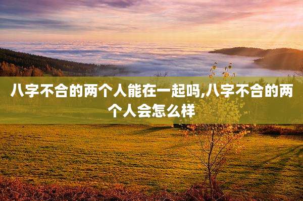 八字不合的两个人能在一起吗,八字不合的两个人会怎么样