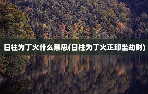 日柱为丁火什么意思(日柱为丁火正印坐劫财)
