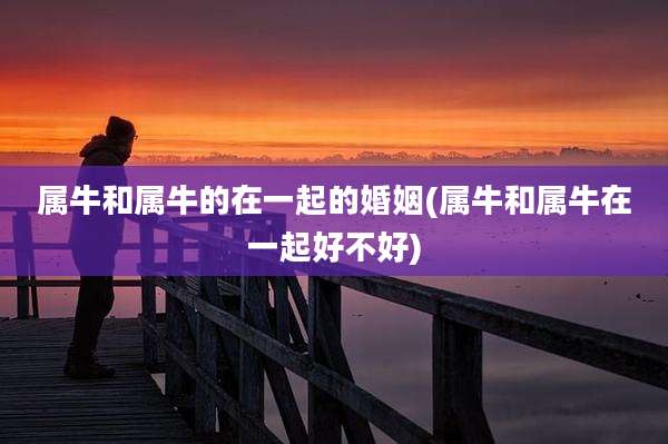 属牛和属牛的在一起的婚姻(属牛和属牛在一起好不好)