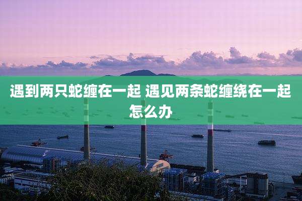 遇到两只蛇缠在一起 遇见两条蛇缠绕在一起怎么办