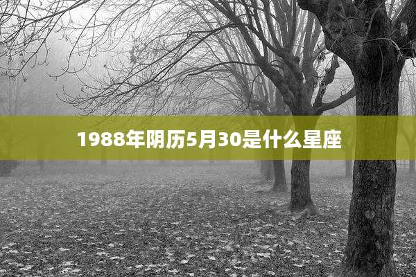 1988年阴历5月30是什么星座