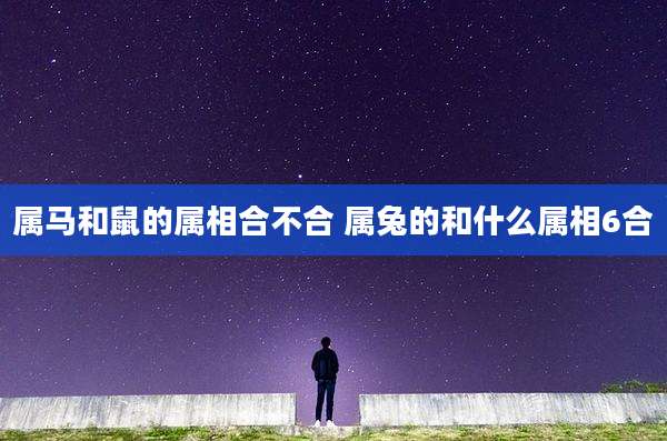 属马和鼠的属相合不合 属兔的和什么属相6合