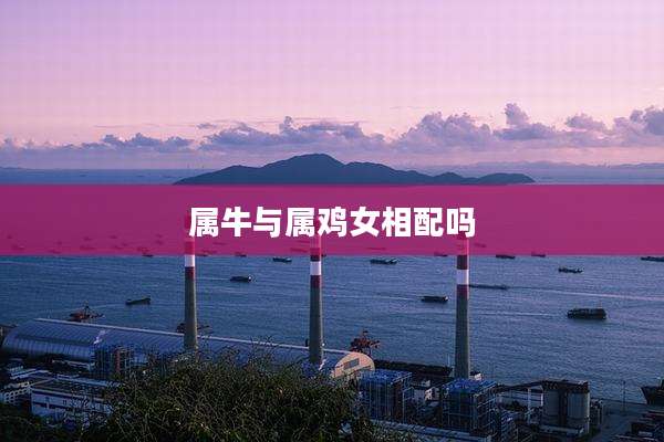 属牛与属鸡女相配吗