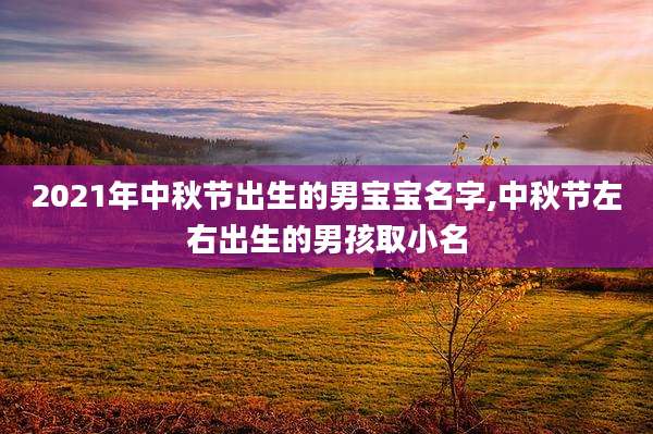 2021年中秋节出生的男宝宝名字,中秋节左右出生的男孩取小名