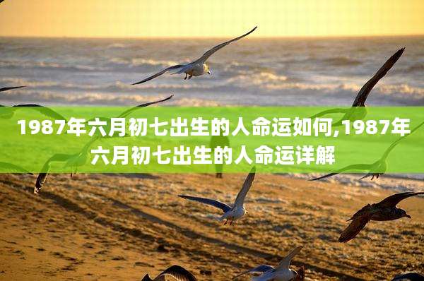 1987年六月初七出生的人命运如何,1987年六月初七出生的人命运详解