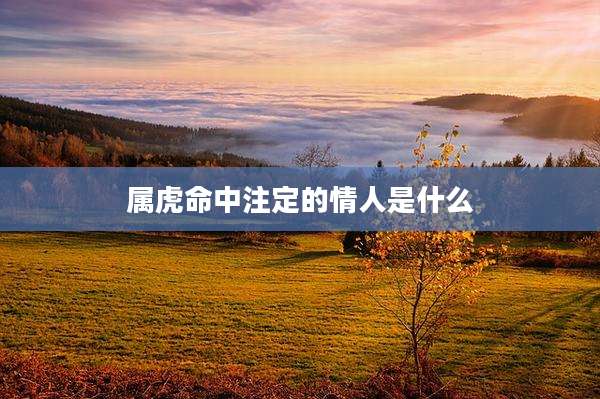 属虎命中注定的情人是什么