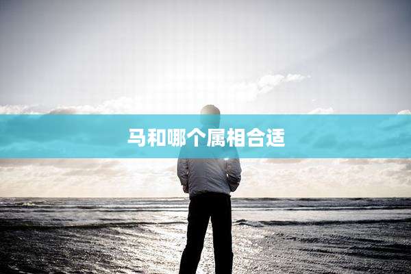 马和哪个属相合适