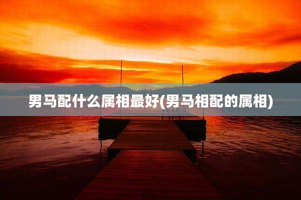 男马配什么属相最好(男马相配的属相)