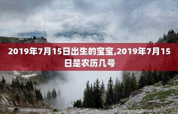 2019年7月15日出生的宝宝,2019年7月15日是农历几号