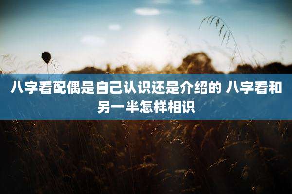 八字看配偶是自己认识还是介绍的 八字看和另一半怎样相识