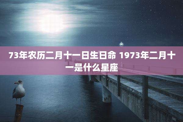73年农历二月十一日生日命 1973年二月十一是什么星座